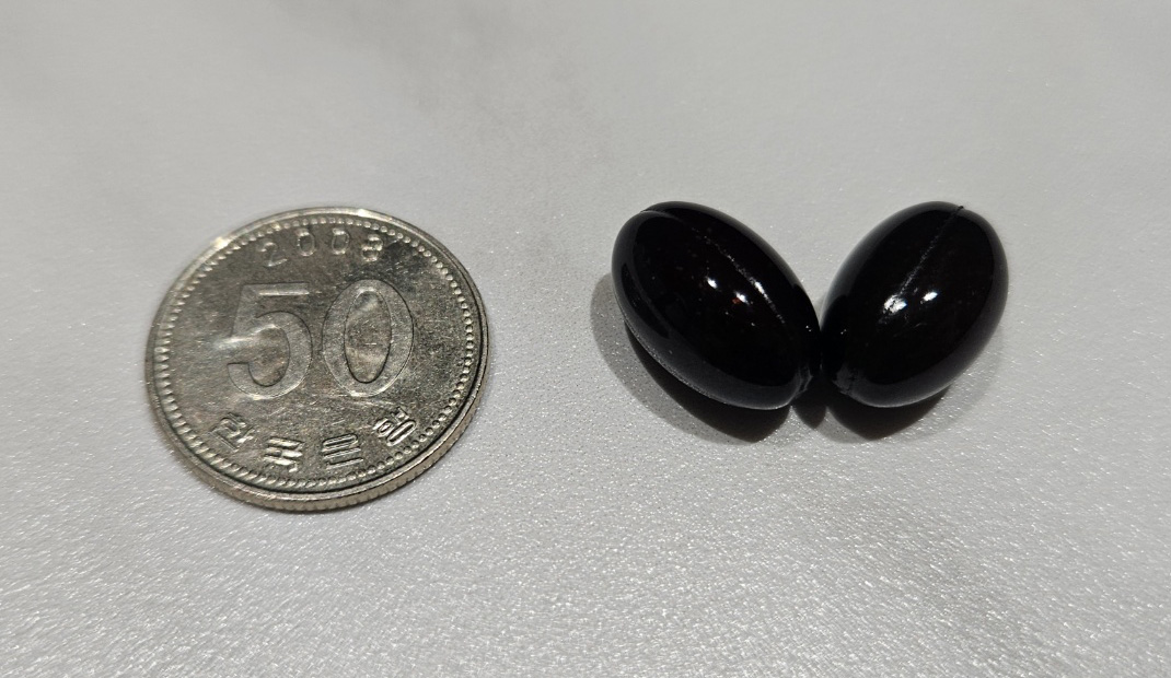 코스트코 트루블루 프로폴리스 포르테 알약