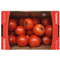 토마토 3KG 원산지:국내산