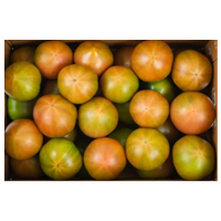 대저 토마토 (2.5KG)