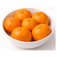 제주 카라향(2.5KG) 원산지:국내산