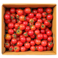 실키핑크 토마토 2KG 원산지:국내산