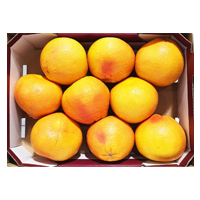 자몽 1박스 (3.5KG) 원산지: 남아공