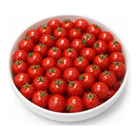 미니 대추토마토 2KG (국내산)