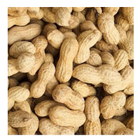 피땅콩(1KG) (원산지:국내산)